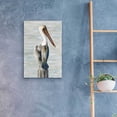 thumbnail image 4 of Epic Art 'Brown Pelican 1' by Stellar Design Studio, Acrylic Glass Wall Art, 16"x24", 4 of 8