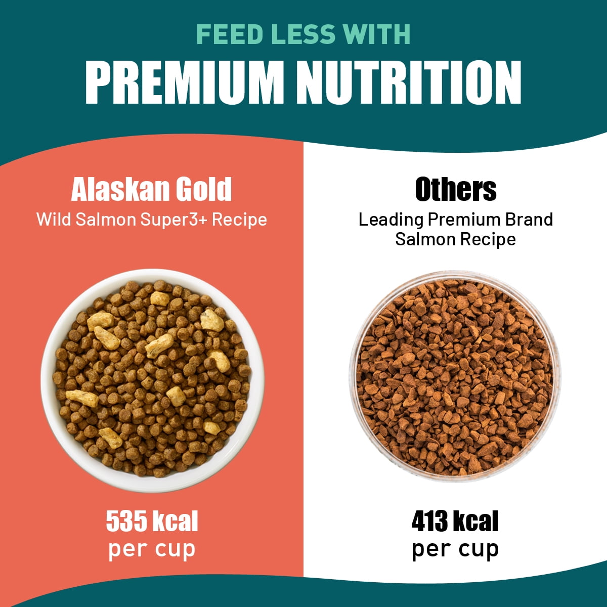 SUPER3+ (Salmon+Freeze Dried Raw Salmon+Salmon Oil) Dry Cat Food | Kitten & Adult | High-Protein | Grain-Free | Allergy & Digestive Support| All-Natural | 10-lbs