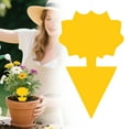 thumbnail image 2 of 10Pcs Plant Sticky Trap,Flying Insect Traps,1Pcs Fungus Gnat Traps Killer for Outdoor Bug,Sticky Gnat Traps for House Indoor,Fruit Fly Sticky Strips Protect Houseplant, Non-Toxic and Odorless(B*10), 2 of 5