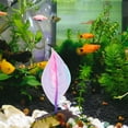 thumbnail image 1 of Milisten Hoja Decorativa Rosa Para Betta Con Ventosa Para Paisajismo En Acuarios, 1 of 7