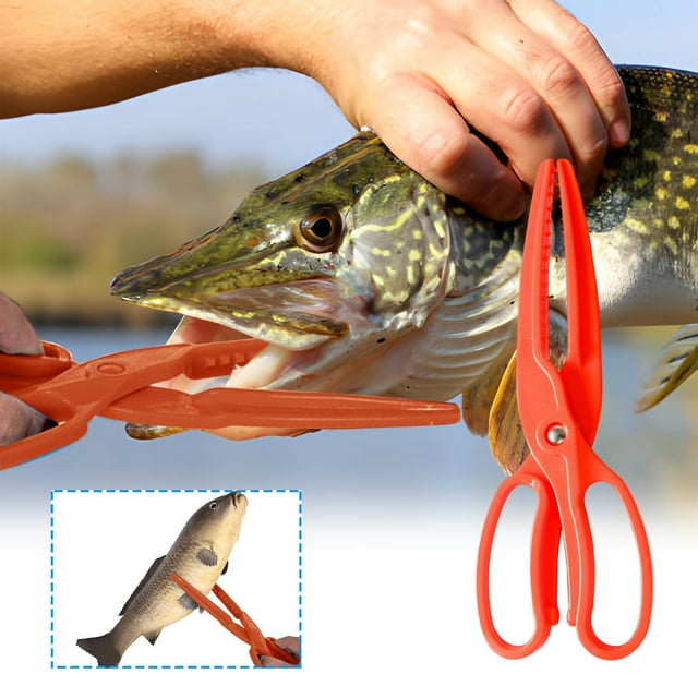 Birdeem Fishing Clamp,Fish Pliers with Floating Design for Safe Fish Control,Lightweight Plastic Scissors-Type Tool,Portable and Compact 9.8 X 3.1 Inches