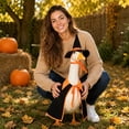 thumbnail image 5 of Cheapark Halloween Goose Outfit Witch Lawn Goose Clothes Fall Halloween Goose Costume For Geese Outdoor Patio Yard Lawn Decoration, 5 of 5