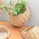 thumbnail image 4 of Maceta de Flores Hecha A Mano para Colgar en la Pared, Cesta de Mimbre para Jardín, Maceta de Vid, Soporte para Plantas, Macetas de Jardín, Macetero de Pared B, 4 of 5