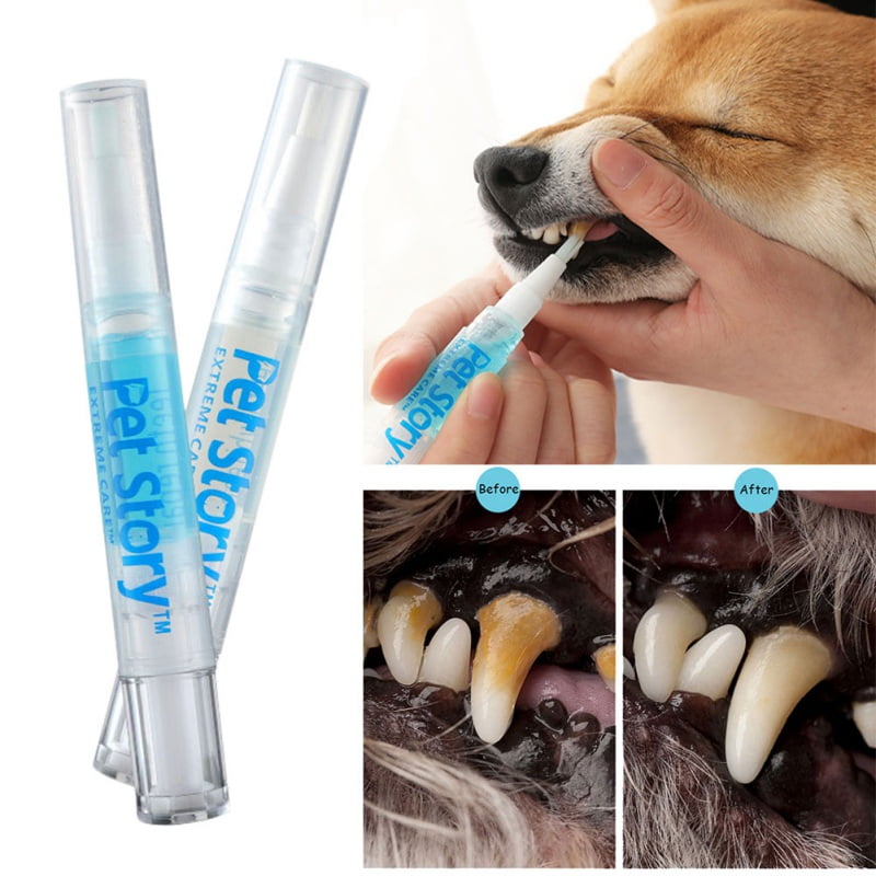 dog toothbrush target