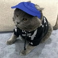 thumbnail image 5 of Chapeau de Soleil d'Été pour Animaux de Compagnie Robe Pull pour Chat Chapeau pour Chien Fournitures de Vacances, 5 of 5