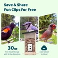 thumbnail image 5 of Birdfy Smart Bird Feeder with Camera, Solar Powerd Bird Feeder Camera, Birdfy Feeder Outdoor with AI Identify, Eco-friendly Wooden, Ideal Gift, Ebony, 5 of 11
