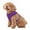 Purple, variant on MoNiBloom No Pull Dog Harness, Pet Vest Adjustable Mesh Breathable Harnesses for Dogs Walking, Sky Blue S