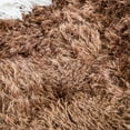 thumbnail image 4 of 5 Colors Soft Area Rug, Fluffy Rugs Plush Fuzzy Non-Skid Indoor Faux Fur Rugs Furry Carpets for Living Room Bedroom Kids Playroom Decor, 4 of 5