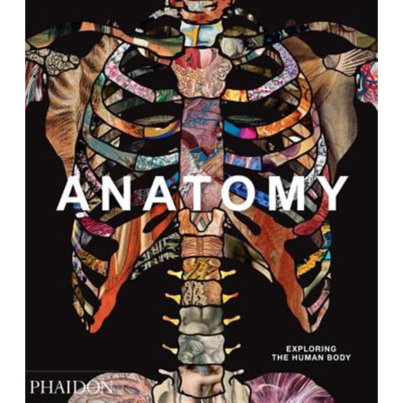 Pre-Owned Anatomy: Exploring the Human Body (Explorer) Paperback