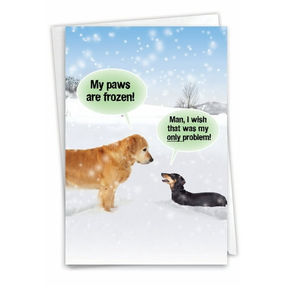 NobleWorks Funny Blank All Occasions Greeting Card with 5 x 7 Inch Envelope (1 Card) Blank All Occasions My Paws Are Frozen C5953OCB