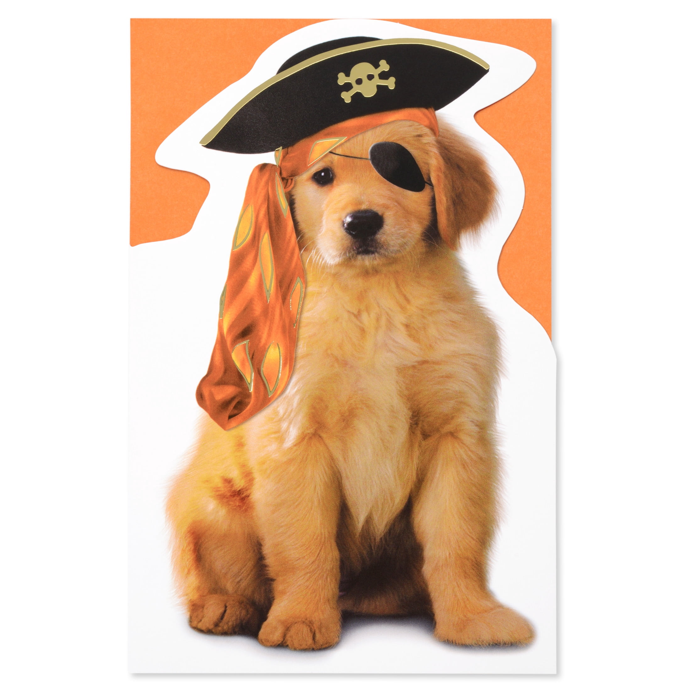 American Greetings Halloween Card for Dog Lovers (Shiver Me Timbers)