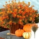 thumbnail image 1 of Flores Artificiales para Acción de Gracias, Ramo de Rosas de Seda Naranja con 7 Cabezas, Follaje Artificial de 34 Cm para Decoración de Bodas, Arreglos para Salones de Ceremonias y Exhibiciones En Ja, 1 of 6