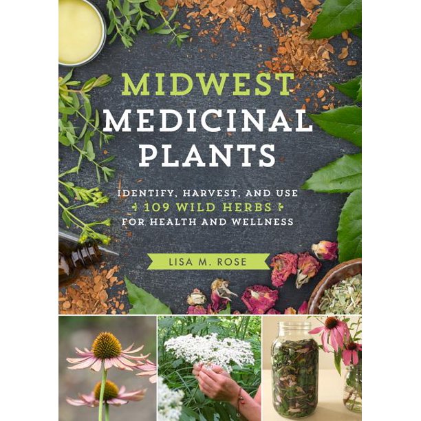 Midwest Medicinal Plants Paperback