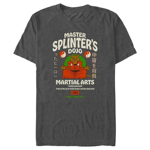 Men's Teenage Mutant Ninja Turtles Master Splinter's Dojo Martial Arts Graphic Tee Charcoal Heather 3X Large