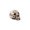 E, variant on Halloween Mini Skulls, 10Pcs Mini Resin Dinosaur Skull Figurines, Tiny Skeleton Head Ornaments for DIY Crafts, Halloween Party Bag Fillers, Micro Landscape Dollhouse Garden Decor