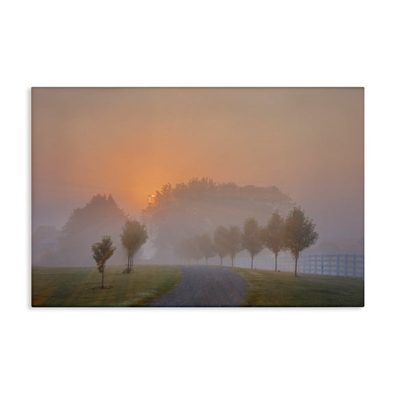 Stupell Industries Grove Path at Sunset Landscape & Nature Photography Wrapped Canvas Art Print Wall Art, 24 x 16