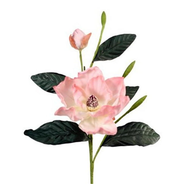 Distinctive Designs DW-850-DURO DIY Fleur Poussiéreuse Rose Magnolia Grandiflora - Pack de 6