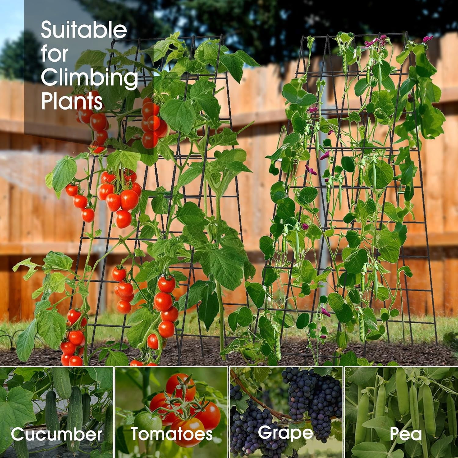 Cucumber Trellis for Raised Bed,  16.5 x 60 Inch Metal Trellis for Climbing Plants Outdoor with Plant Clips Twist Ties, Garden Plant A-Frame Trellis for Vegetable Pea Tomato (Black, 2 PCS)