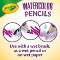 thumbnail image 5 of Lápices Acuarelables Crayola Watercolor 24 Unidades, 5 of 5