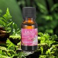 thumbnail image 3 of 10ML Aromatherapy Diffuser Oils Plant Aromatherapy Oil Aroma Diffuser Fragrance, 3 of 9