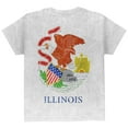thumbnail image 2 of Illinois Vintage Distressed State Flag All Over Youth T Shirt Multi YXL, 2 of 2
