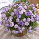 thumbnail image 4 of Uuiauoio Artificial Flowers, Fake Bouquet,Artificial with Stems for Wedding Flowers Decoration, Valentines Day, Home Decor, Bridal Bouquet Roses, 4 of 6