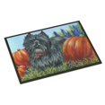 thumbnail image 1 of Carolines Treasures PPP3253JMAT Tapis Intérieur Ou Extérieur Cairn Terrier Moms Pumpkins 24 x 36 Po, 1 of 1