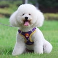 thumbnail image 3 of Arnés de perro correa conjunto de entrenamiento ajuste ajustable transpirable malla suave chaleco arnés correa de pecho para perros caminar fác Púrpura Yinane Arnés mascotas, 3 of 7