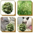 thumbnail image 3 of Visland 3 Pcs Bunny Grass Ball Rabbit Natural Timothy Grass Small Animal Activity Play Chew Toy for Hamster Guinea Pigs Gerbils, 3 of 5