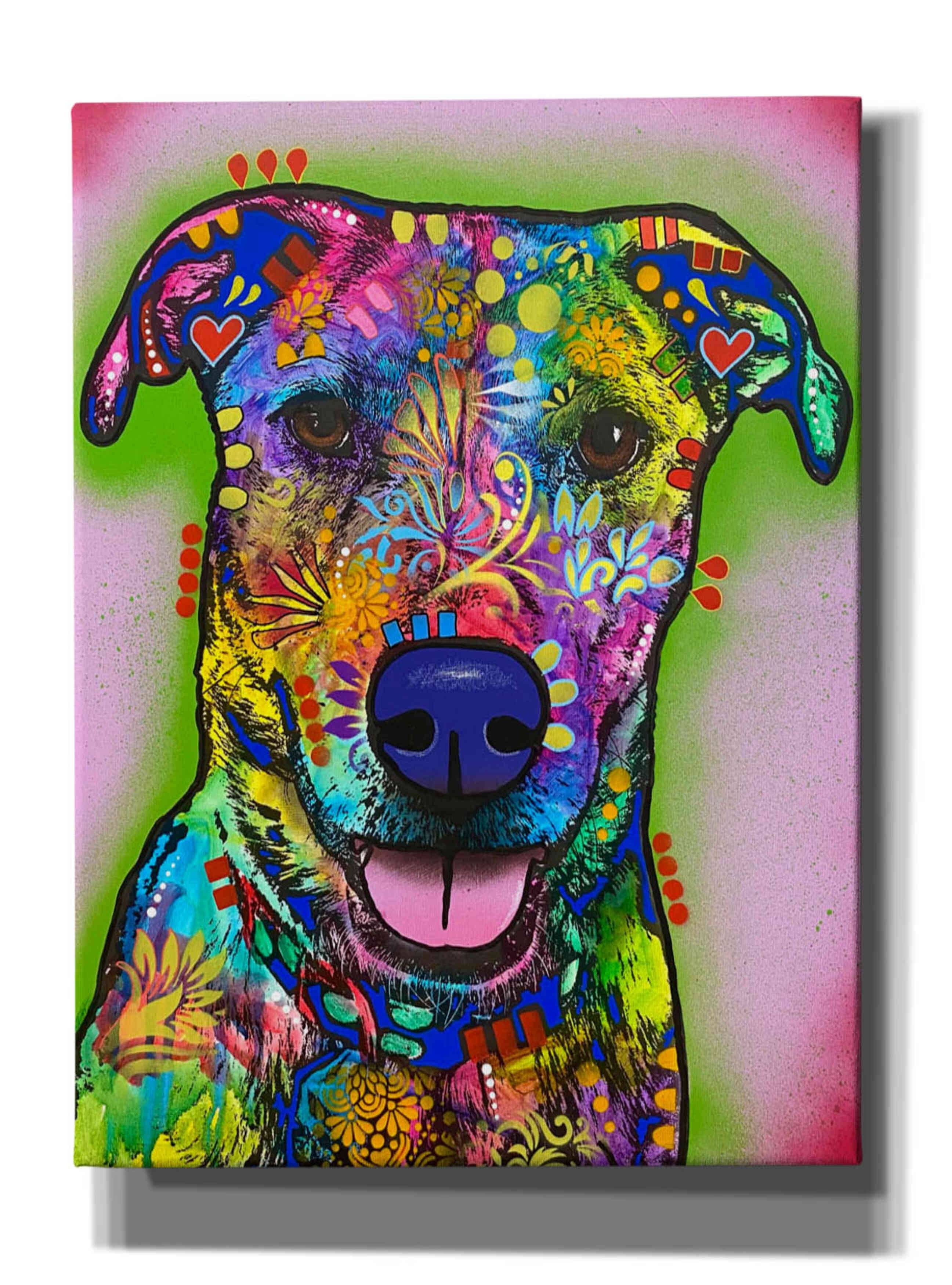 Epic Graffiti 'I Like You A Lot' by Dean Russo, Canvas Wall Art, 40"x54 ...