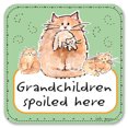 thumbnail image 2 of Vinyl Drink Coasters - Set of 4 - Grandchildren Spoiled Here, 2 of 3
