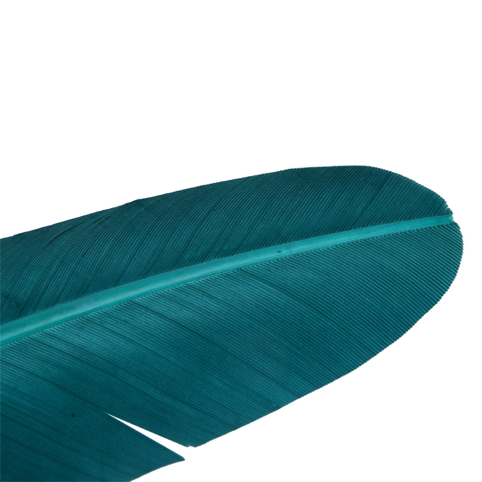 BIMZUC Retro Classical European Style Calligraphy Feather Dip Writing Fountain Pen Set with Empty Ink Bottle and Elegant Gift Box, Green, 9.45 inches / 24 cm Length, 1 Count