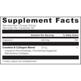 thumbnail image 6 of Ancient Nutrition Creatine + Collagen – Muscle Strength, Lean Body Mass, Joint Comfort & Cognitive Support – Includes 5g Creatine Monohydrate for Women, 30 Servings, 6 of 6