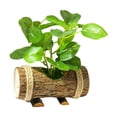 thumbnail image 3 of Mini Plantas en , Plantas Artificiales con Macetas de Tronco de Madera, Pequeñas Plantas en para Estante, Sala de Estar, Baño, Decoración Estilo D perfecl plantas en macetas falsas, 3 of 8