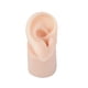 thumbnail image 5 of Modelo de oreja de silicona, modelo de oreja real artificial, textura delicada, entrenamiento flexible. Derecha, 5 of 9
