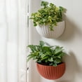thumbnail image 6 of Happy Date Wall Planter, Plastic, 21cm x 16.5cm x 9.5cm, for Herbs, Succulents, Cacti, Air Plants, 6 of 9