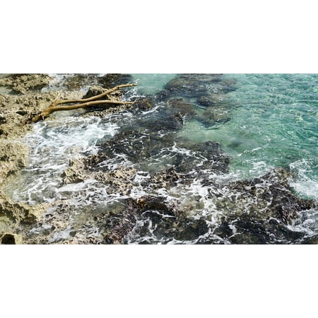 Coral Beach Water LAMINATED POSTER Reef Beach Mexico Coral Water Rocks Caribbean Poster Print 24 x 36 ()