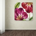 thumbnail image 3 of Trademark Fine Art 'Open Arms I' Canvas Art by Color Bakery, 3 of 3