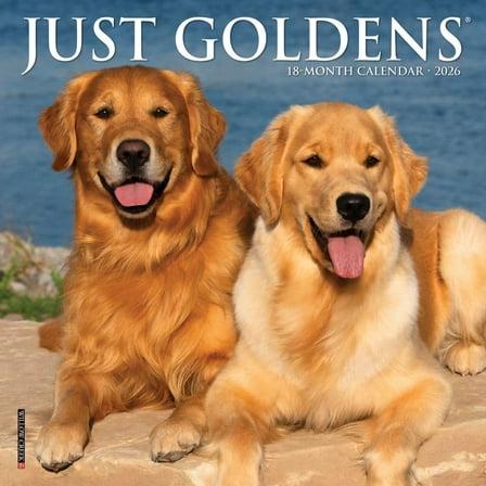 Willow Creek Press, Just Goldens 2026 Mini Wall Calendar, 7'' X 7'', 18-Month Calendar with Stapled Binding
