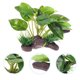 thumbnail image 1 of unbranded Accesorios De Acuario Artificiales Moradas Para Y Refugio, 1 of 5