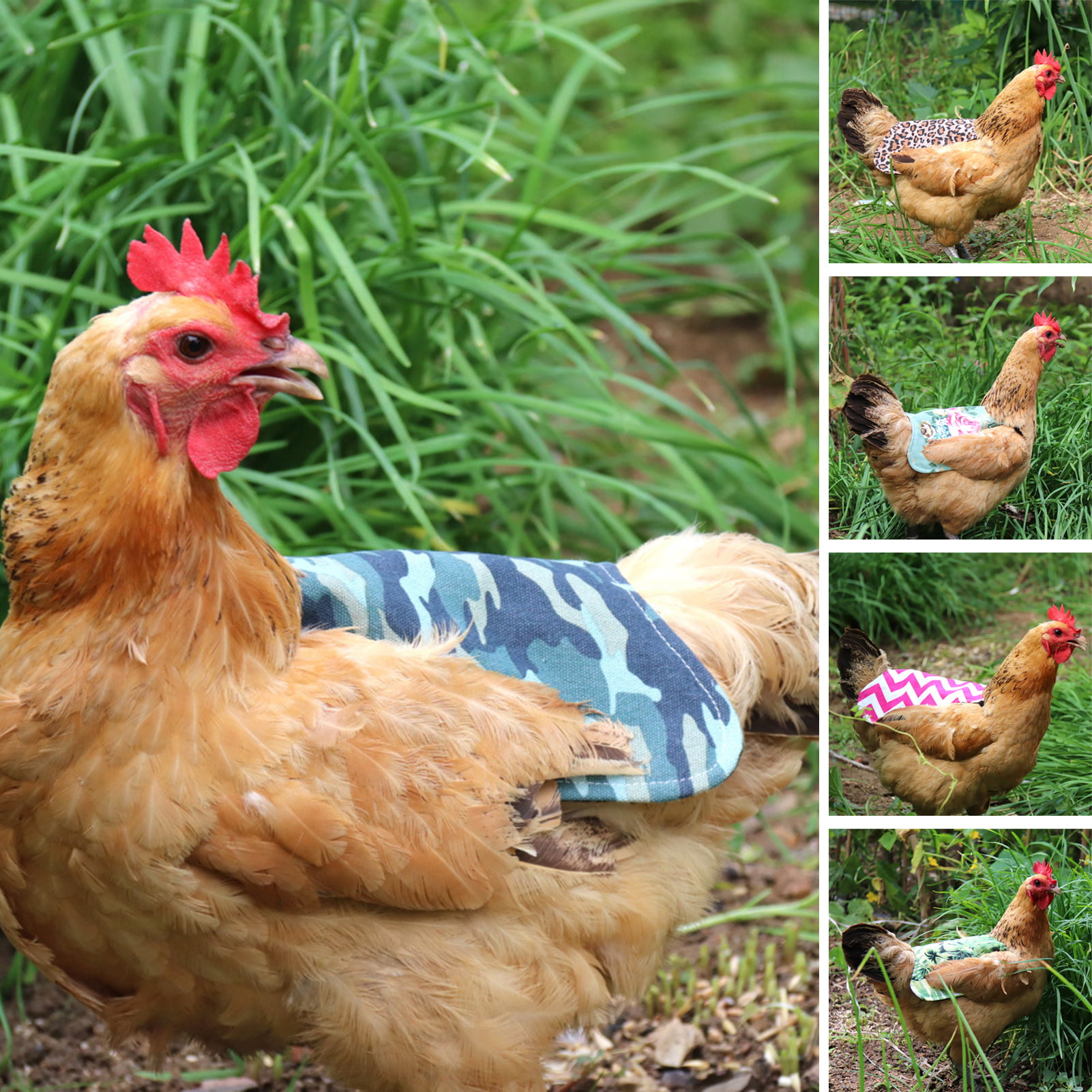 20 Chicken Saddle Apron Hen BACK FEATHER PROTECTION CHICKEN HATCHING EGGS USA 