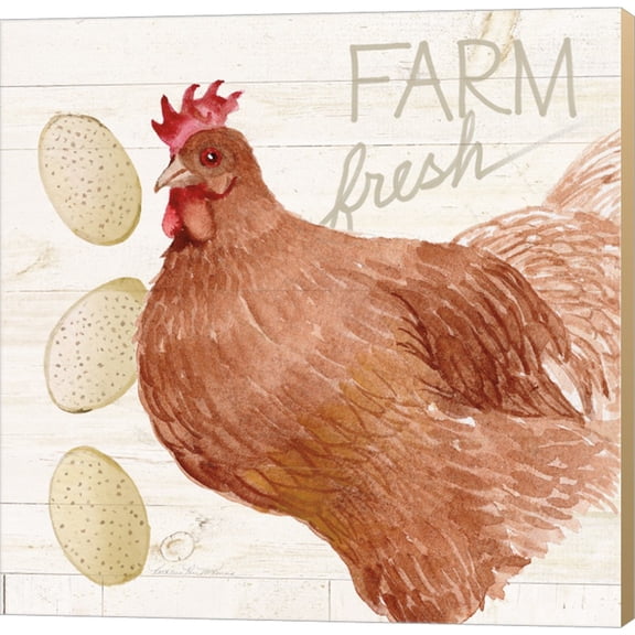 Life on the Farm Chicken II by Kathleen Parr McKenna, Canvas Wall Art