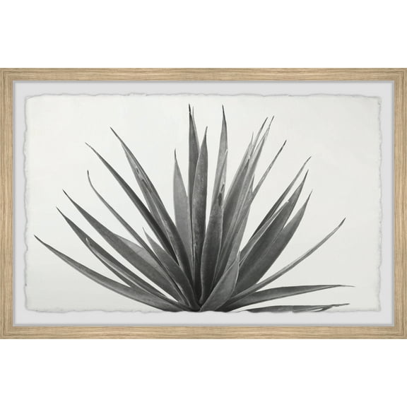 Marmont Hill Marginata Framed Wall Art, 8" x 12"