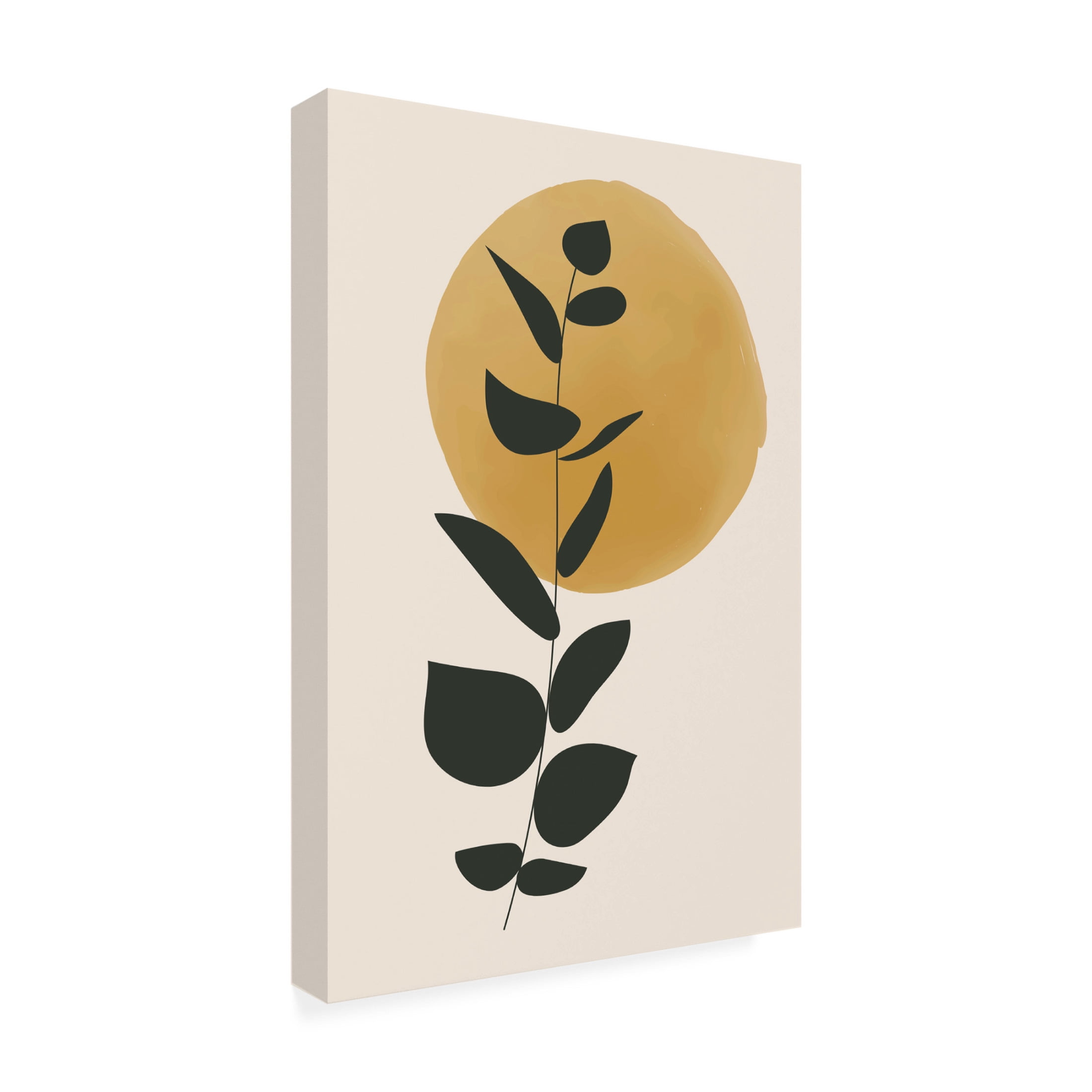 Trademark Fine Art jay stanley Color Botanicals 1 Canvas Wall Art