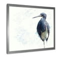 thumbnail image 2 of Designart 'Tricolored Heron Bird On White' Farmhouse Framed Art Print, 2 of 4