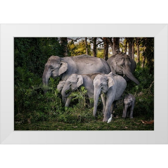 Stranak, Pavol 32x23 White Modern Wood Framed Museum Art Print Titled - tasty leaves