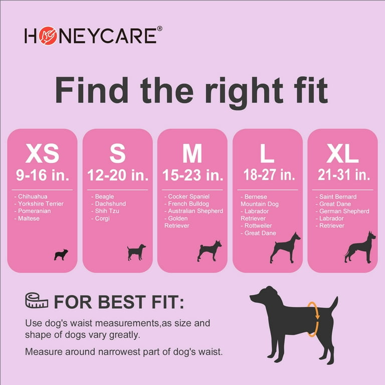 Honey Care Doggy Heat Wrap All Absorb Disposable Diapers XS to XL Male and Female Super Absorbent 40 Count Walmart