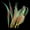 A, variant on Aquarium Decor Plant Simulation Silicone Grass Realistic Artificial Seaweeds Moving with Water Ornament for Fish Tanks