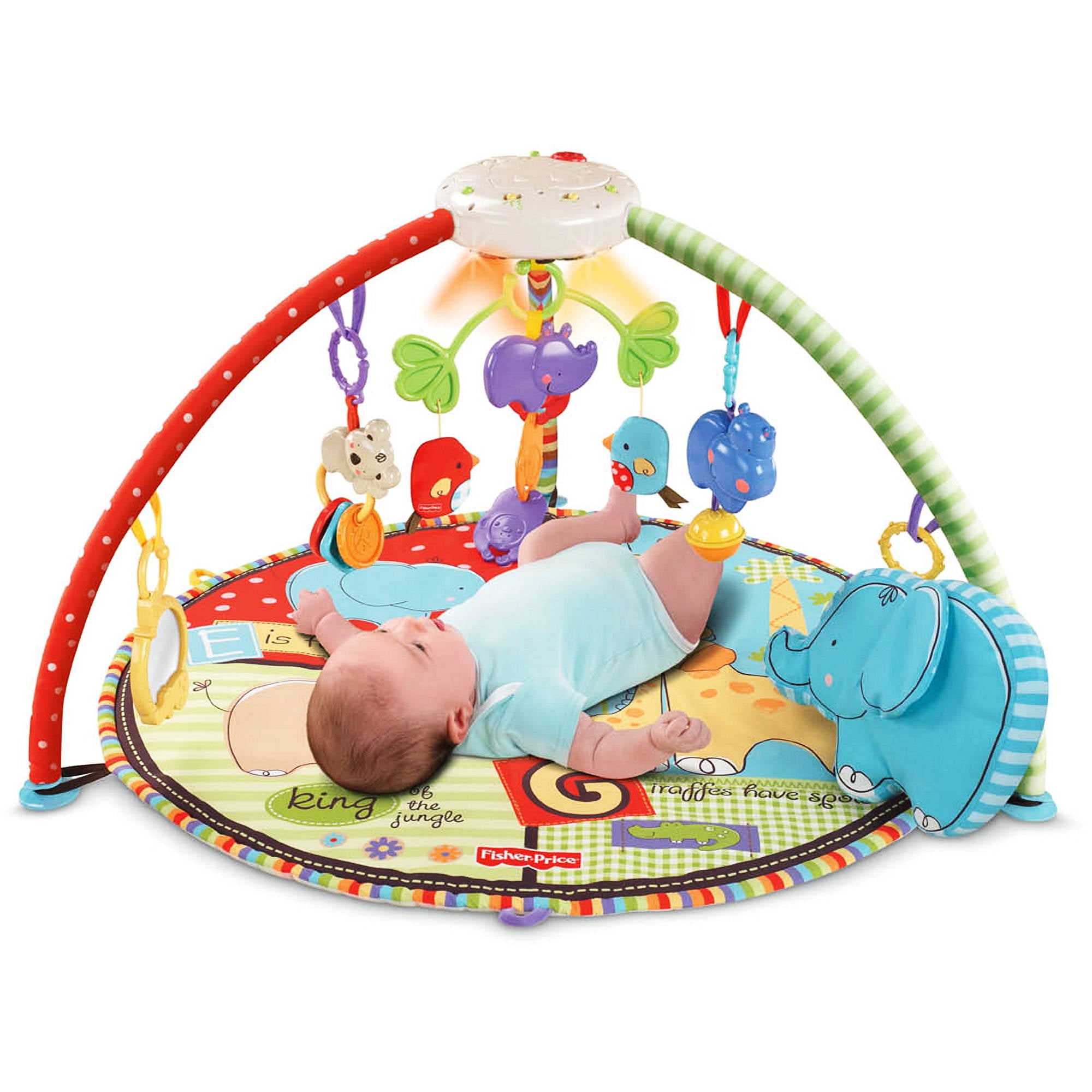 fisher and price play gym