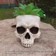 thumbnail image 3 of Outdoor Garden Halloween Skull Decorations: Gothic Style Succulent Flower Pot for Home Decor, 3 of 5